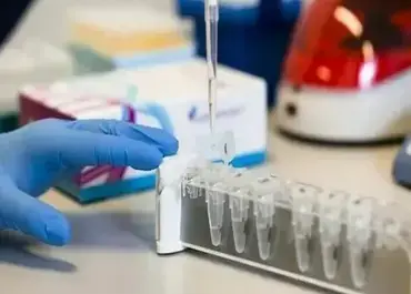sma-testi-ucreti-2024