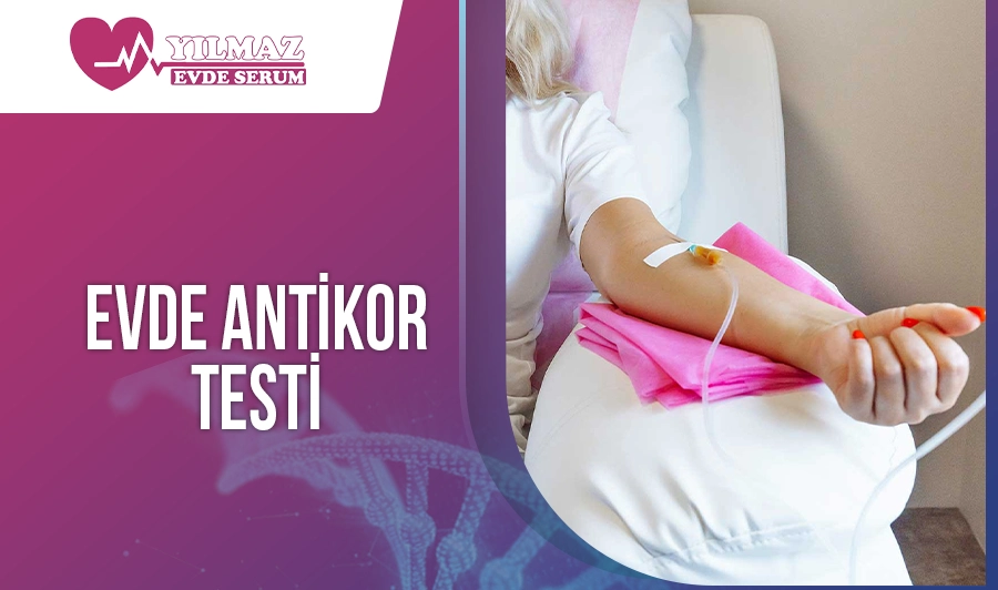 Evde Antikor Testi